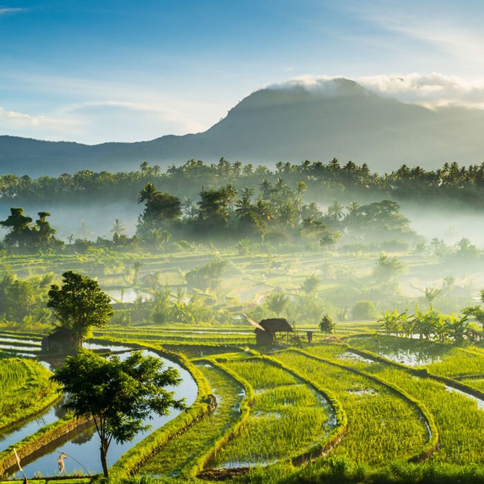 4D3N Regular of Bali